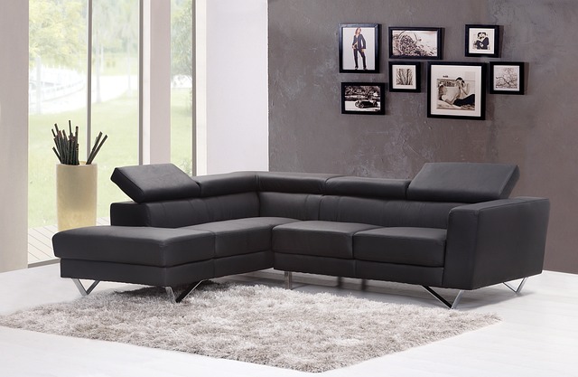 luxurious area rug